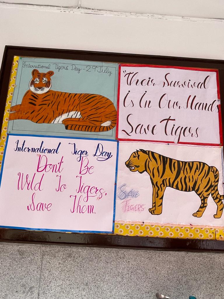 Vector poster save the jungle Tiger on a black  Stock Illustration  68663823  PIXTA